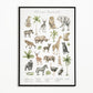 Dierengroepen collectie poster