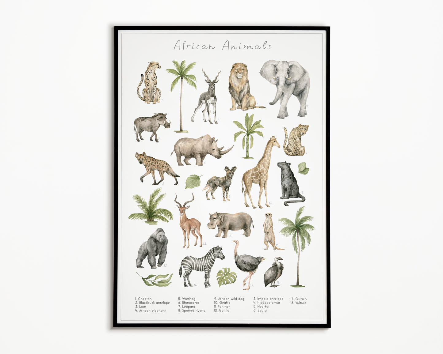 Dierengroepen collectie poster