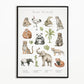 Dierengroepen collectie poster