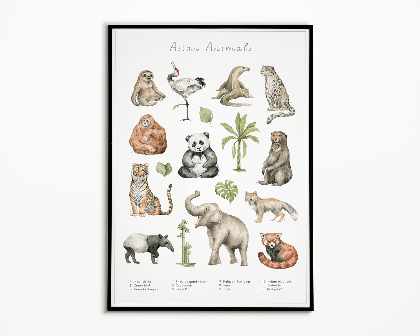 Colección de grupos de animales Póster