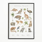 Dierengroepen collectie poster