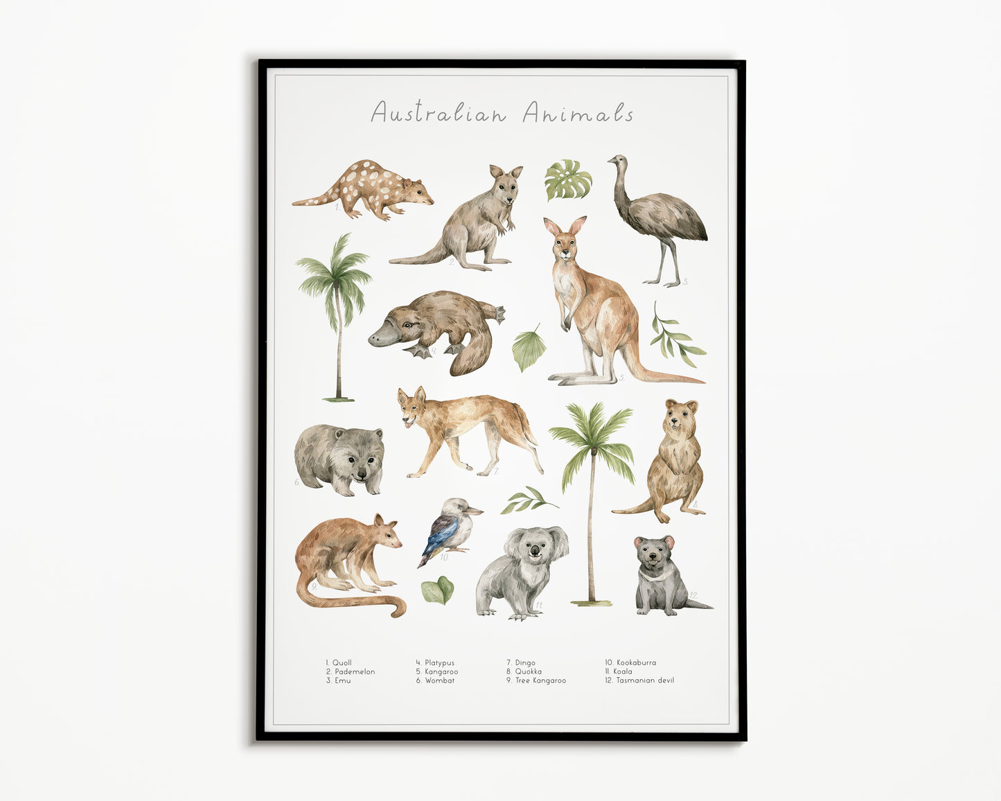 Colección de grupos de animales Póster