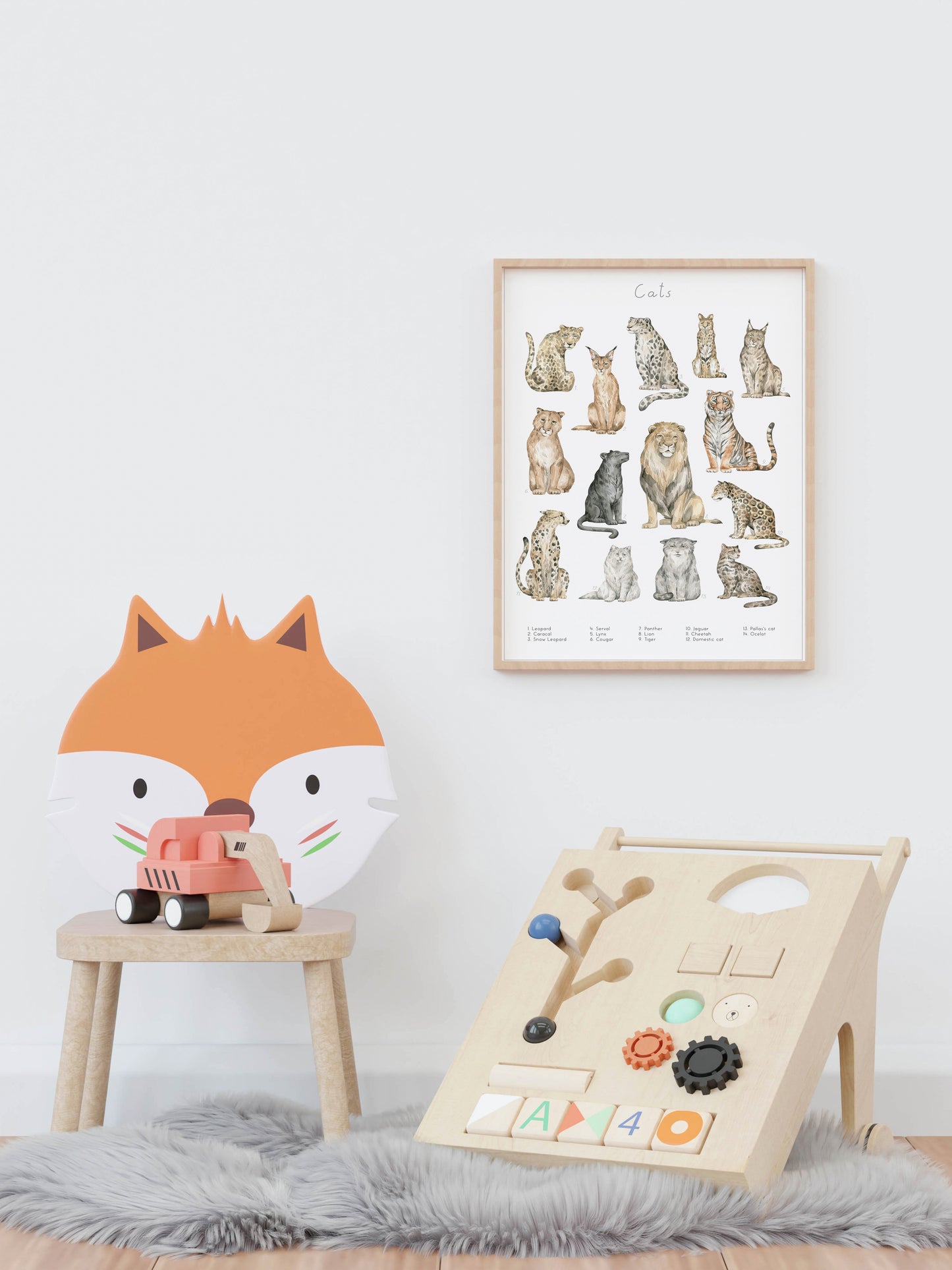 Dierengroepen collectie poster