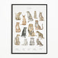 Dierengroepen collectie poster