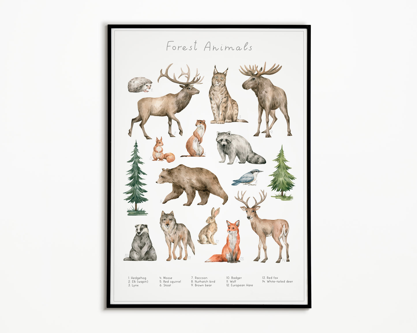 Dierengroepen collectie poster