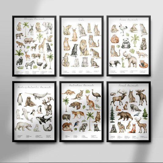 Animal Groups Collection Poster